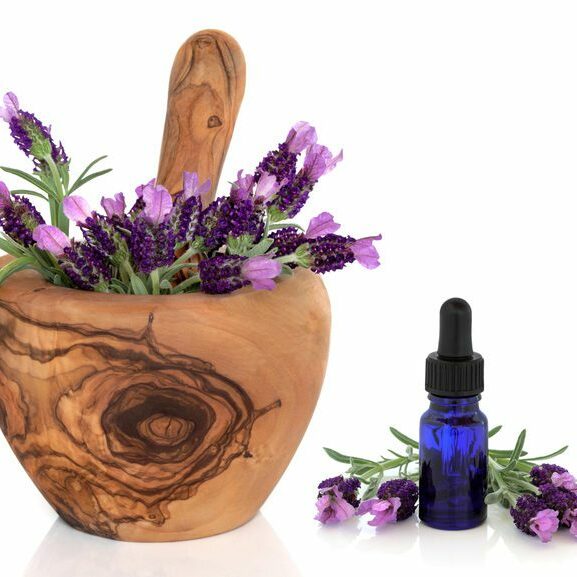 Lavender herb flowers in an olive wood mortar with pestle with an aromatherapy essential oil glass dropper bottle, over white background with reflection.
